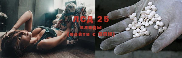 мяу мяу мука Михайловск